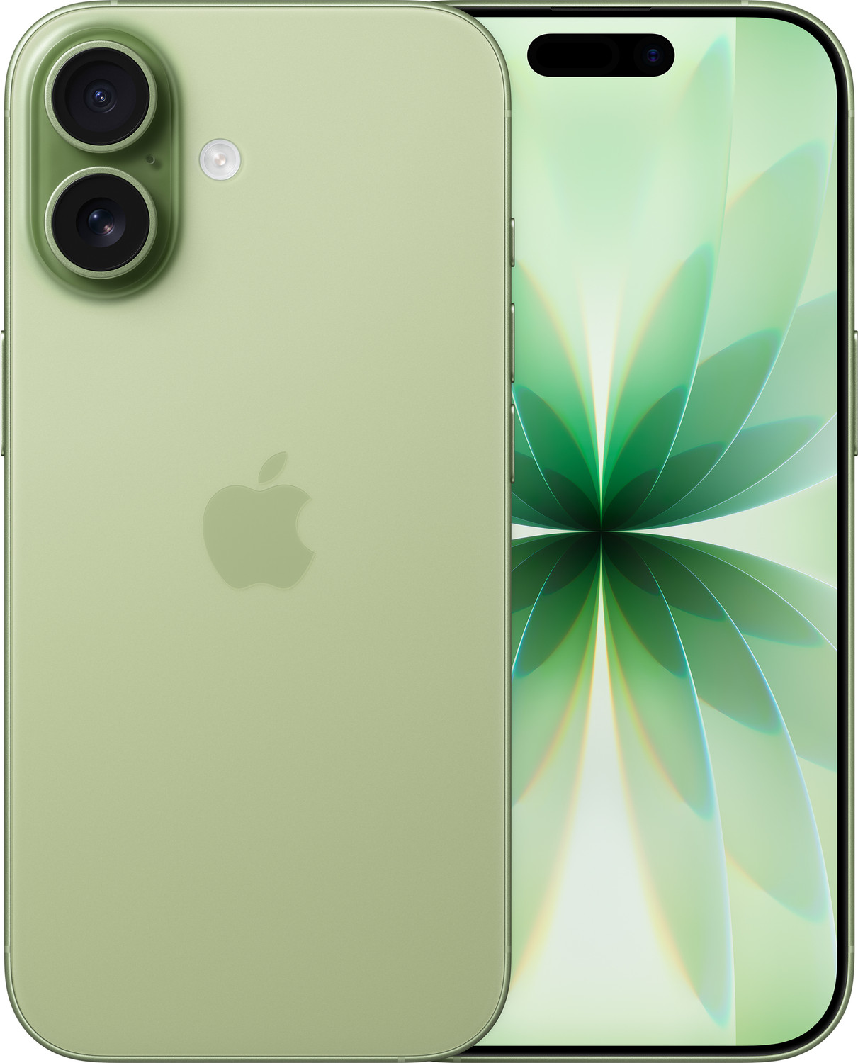 Apple Iphone 17 (Sage, 256 Gb) 1